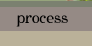 process